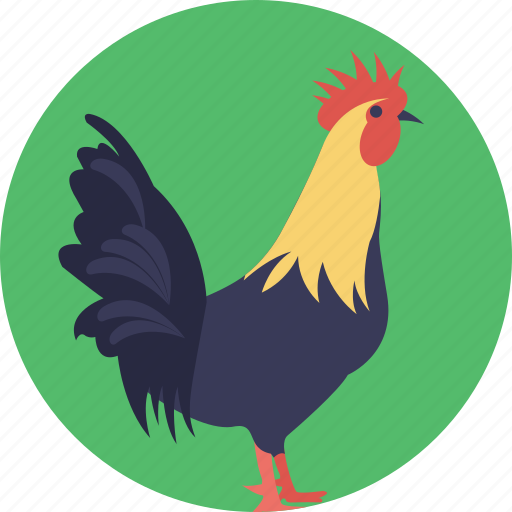 Cock, cockerel, male chicken, male gallinaceous bird, rooster icon - Download on Iconfinder