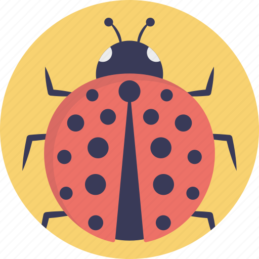 Coccinellidae, lady beetles, ladybird, ladybird beetles, ladybug icon - Download on Iconfinder