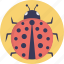 coccinellidae, lady beetles, ladybird, ladybird beetles, ladybug 