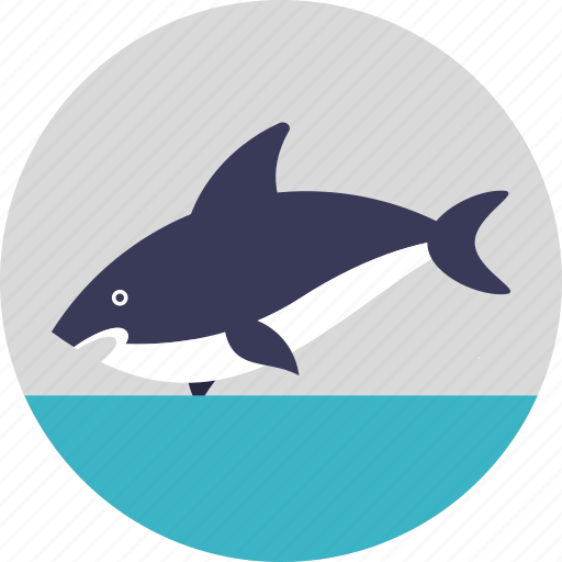Animal, fish, mammal, sea life, whale icon - Download on Iconfinder