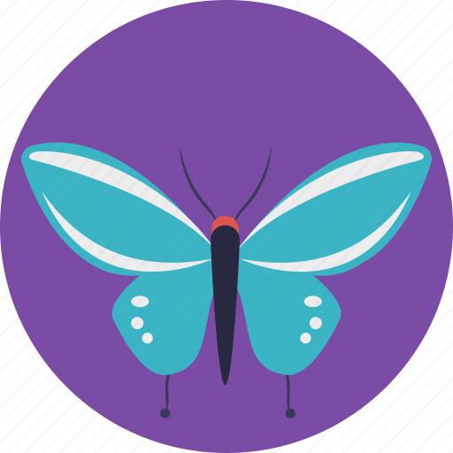 Blue butterfly, butterfly, garden, insect, nature icon - Download on Iconfinder