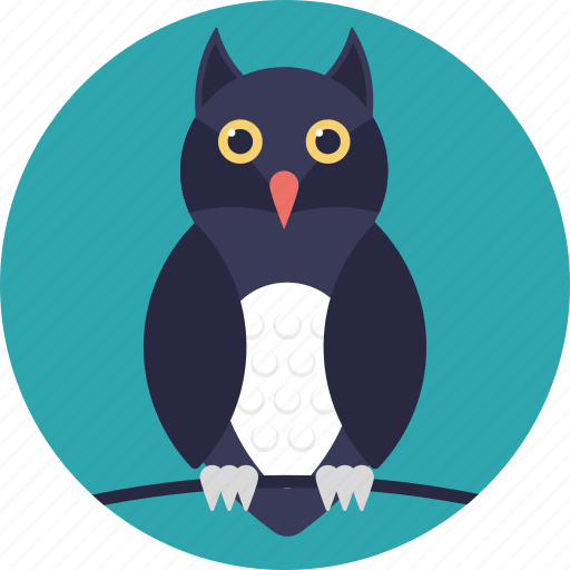 Animal, bird, cartoon bird, cartoon owl, owl icon - Download on Iconfinder