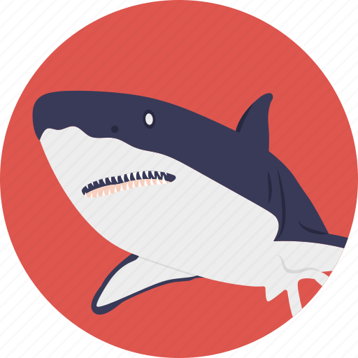 Animal, fish, mammal, sea life, whale icon - Download on Iconfinder