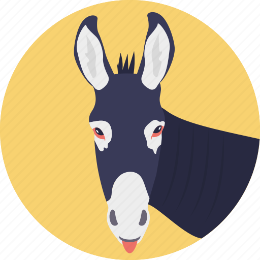 Animal, ass, domesticated hoofed mammal, donkey, horse family icon - Download on Iconfinder