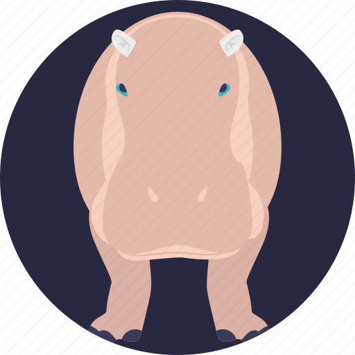 African mammal, animal, hippo, hippopotamus, land mammal icon - Download on Iconfinder
