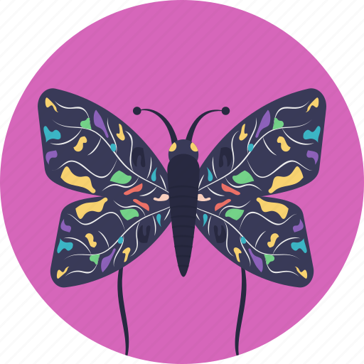 Butterfly, colorful butterfly, creature, garden, insect icon - Download on Iconfinder
