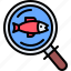 search, magnifier, fish, seafood, shop, food 