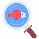 search, magnifier, fish, seafood, shop, food
