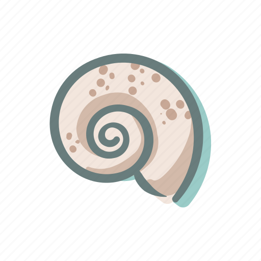 Seashell, shell, sea, mollusk, shellfish, nautical, ocean icon - Download on Iconfinder