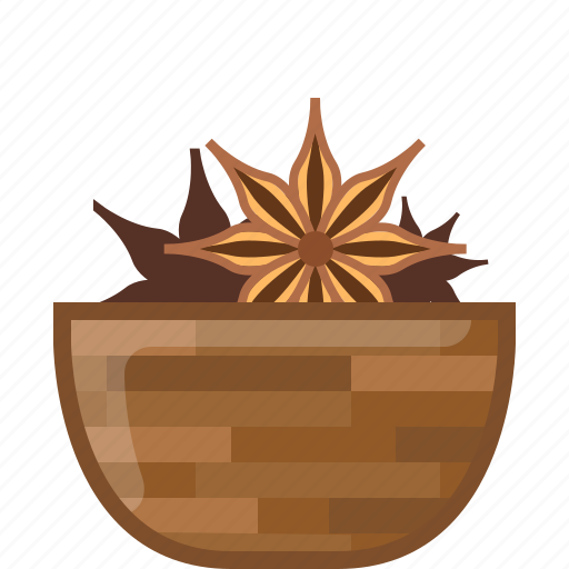 Anise, badian, cooking, orient, seasoning, spice icon - Download on Iconfinder