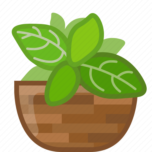 Basil, cooking, dish, herbs, seasoning, spice icon - Download on Iconfinder