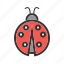 beetle, flying, insect, leaf, nature, red 