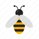 bee, bees, fly, honey, honeybee, nature, wing