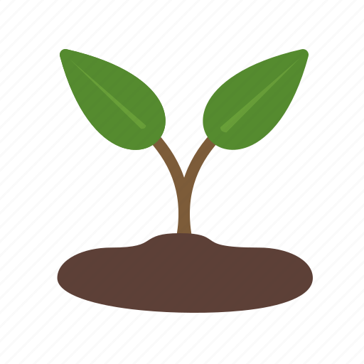 Life, plant, seed, spring, sprout, tree, young icon - Download on Iconfinder