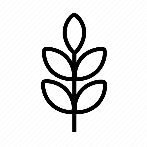 Eco, fall, garden, leaf, leaves, nature, rowan icon - Download on Iconfinder