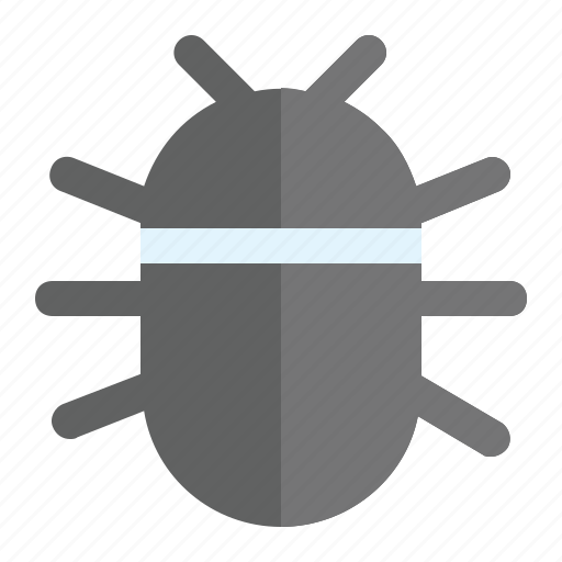 Bug, insect, protection, safe, secure, security, virus icon - Download on Iconfinder