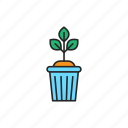 pot, plant