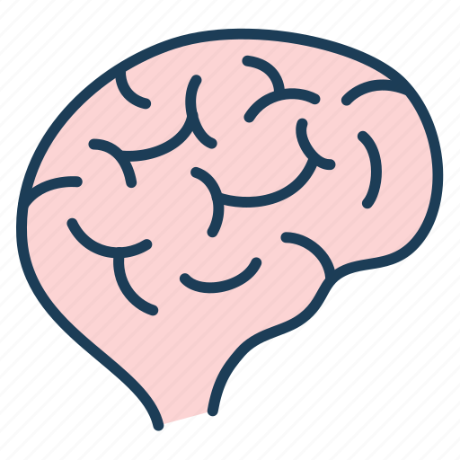Brain, intelligence, mind, thought, think icon - Download on Iconfinder