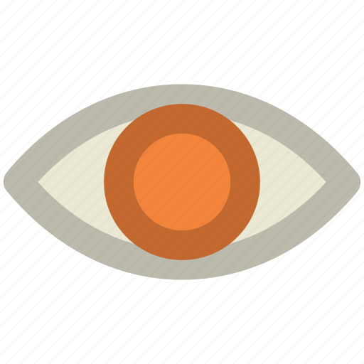 Eye, look, retina, see, view, visible icon - Download on Iconfinder