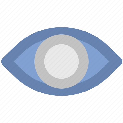 Eye, view, visibility, visible, vision icon - Download on Iconfinder