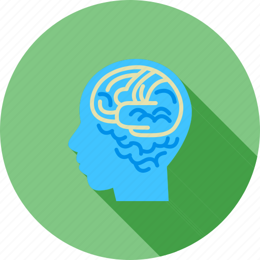 Brain, brainstorming, human, internet, knowledge, skills, thoughts icon - Download on Iconfinder