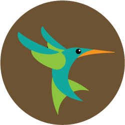 Google, hummingbird, seo icon - Free download on Iconfinder