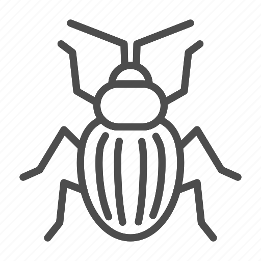 Chafer, insect, beetle, bug, nature, animal, wildlife icon - Download on Iconfinder