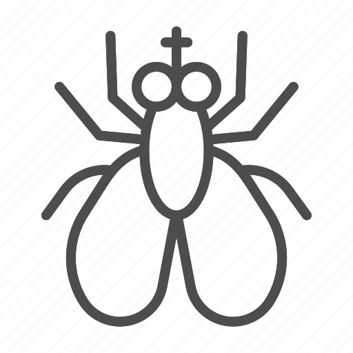Fly, insect, nature, animal, bug, pest, wing icon - Download on Iconfinder