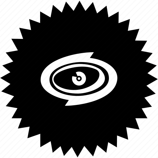 Emblem, eye, round, sign, view icon - Download on Iconfinder