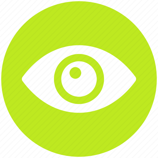 Eye, overview, show, view, visibility, watch icon - Download on Iconfinder