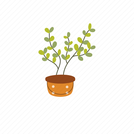 Quinzy, simple, houseplant, illustration, nature, pot, greenery icon - Download on Iconfinder