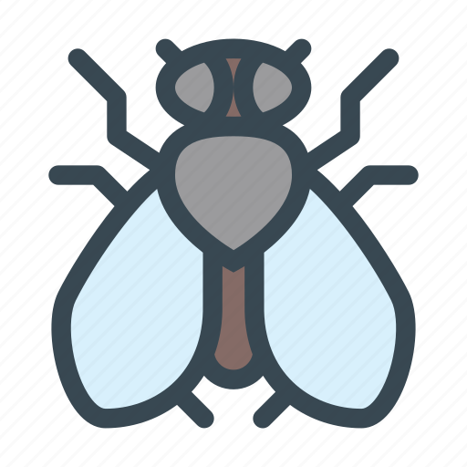 Fly, housefly, insect, nature, pest icon - Download on Iconfinder