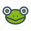 amphibian, animal, frog, froggy, head 