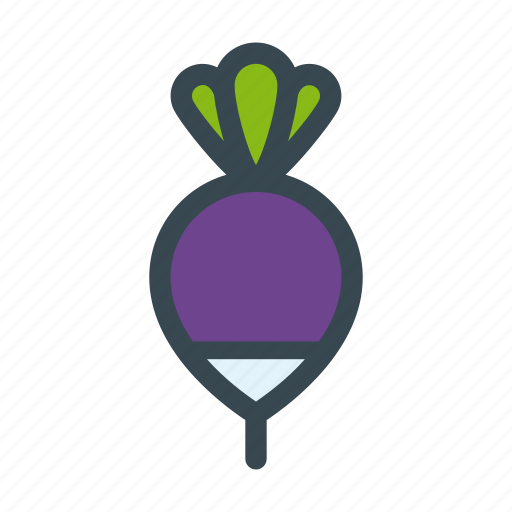 Beet, food, radish, turnip, vegetable icon - Download on Iconfinder