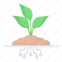 agriculture, farming, future, science, technology, digital circuit, plant