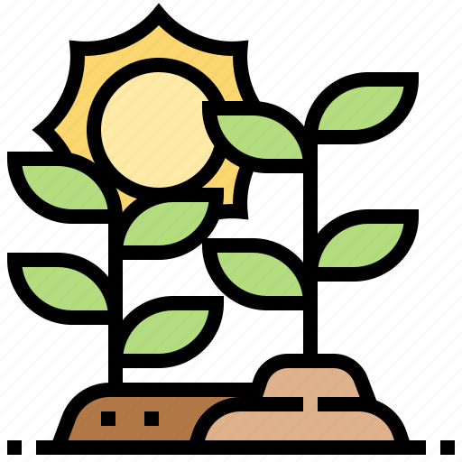 Farm, growth, plant, solar, vegetation icon - Download on Iconfinder