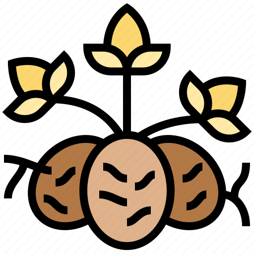 Agriculture, farming, plant, seeds, vegetation icon - Download on Iconfinder