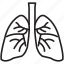 damage, lungs, organ, smoke, smoking 