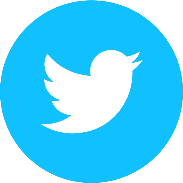 Image result for twitter icon