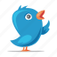 tweet, bird, twitter 