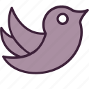 bird, communication, media, message, multimedia, social, twitter