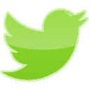 bird, media, social, twitter