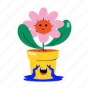 crying flower, flower pot, houseplant, potted plant, sad flower