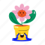 crying flower, flower pot, houseplant, potted plant, sad flower 
