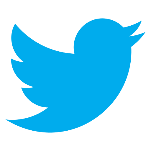 Twitter, social media, social network, communication, network, internet, connection icon - Free download