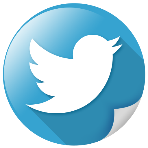 bird, communication, logo, network, tweet, twitter icon