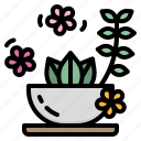 flower, herb, plant, relax, spa