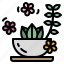 flower, herb, plant, relax, spa 