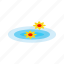 floating, flowers, lily, nature, pool, spa, water 