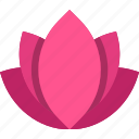 beauty, flower, lotus, spa, yoga